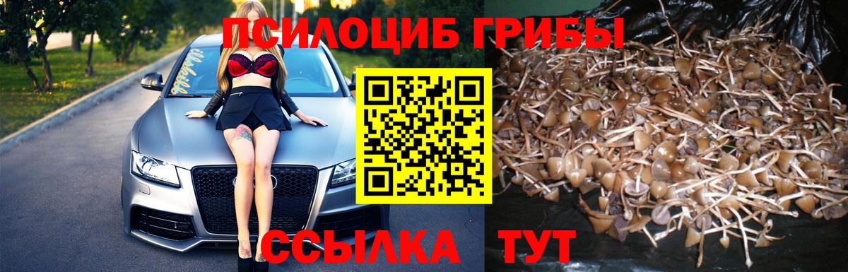 Псилоцибиновые грибы ЛСД Великий Новгород