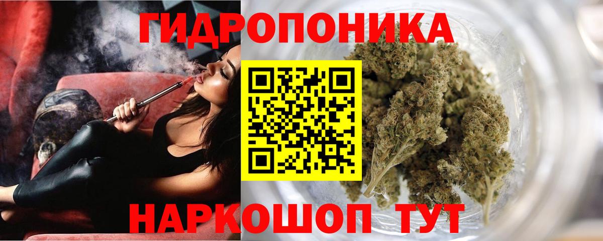Бошки марихуана планчик  Вход с VPN  Канабис Ganja  Конопля VHQ  Шишки марихуана сатива  Великий Новгород 